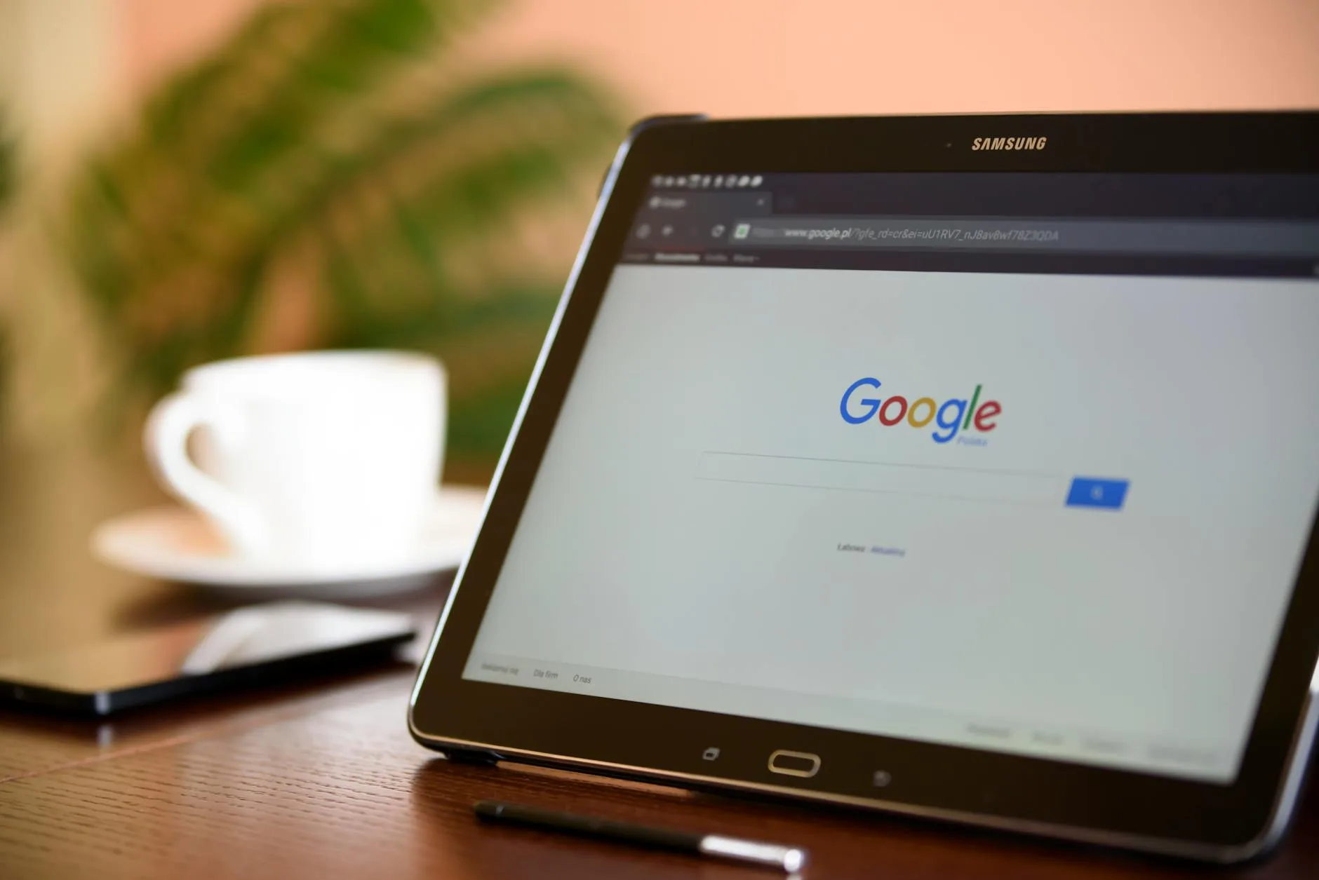 Teknik Seo Organik Google