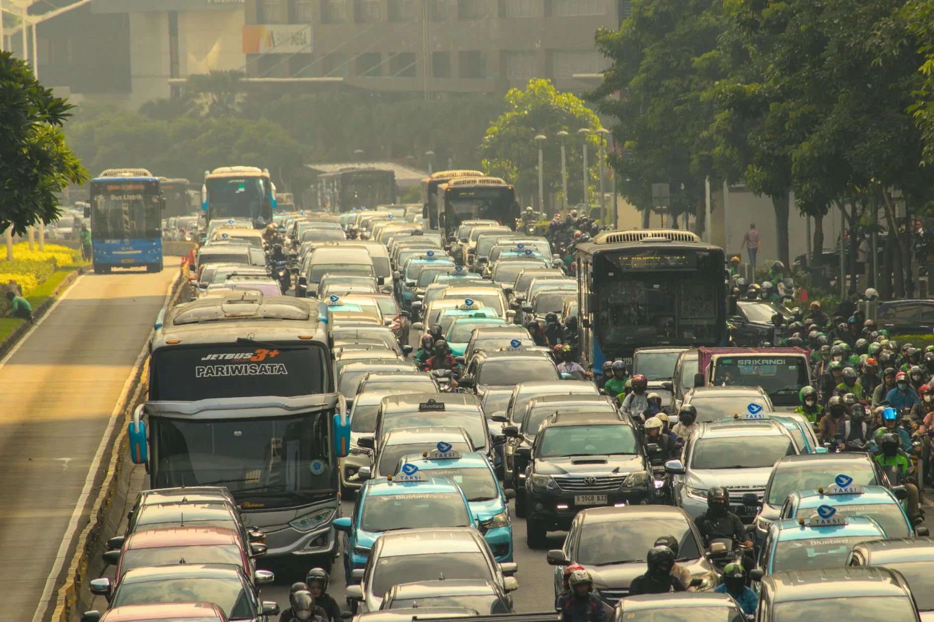 Website WordPress Banyak Trafik